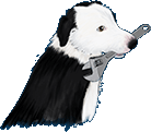 dog with wrench in mouth