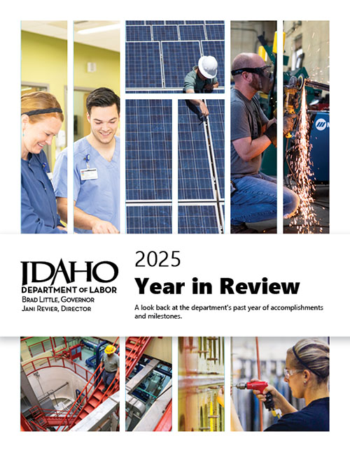 Year in review report