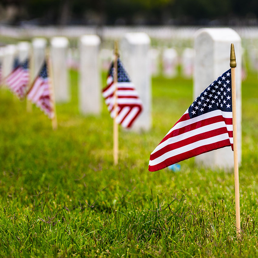 American flags lining multiple graves in a cemetery