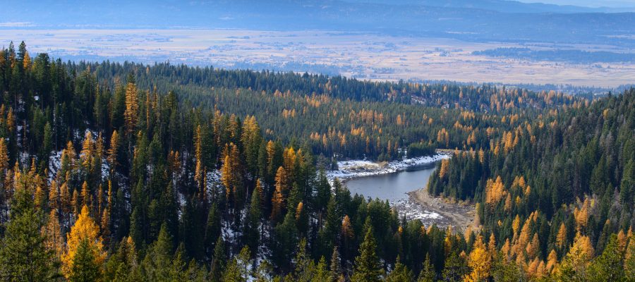 Autumn in Idaho